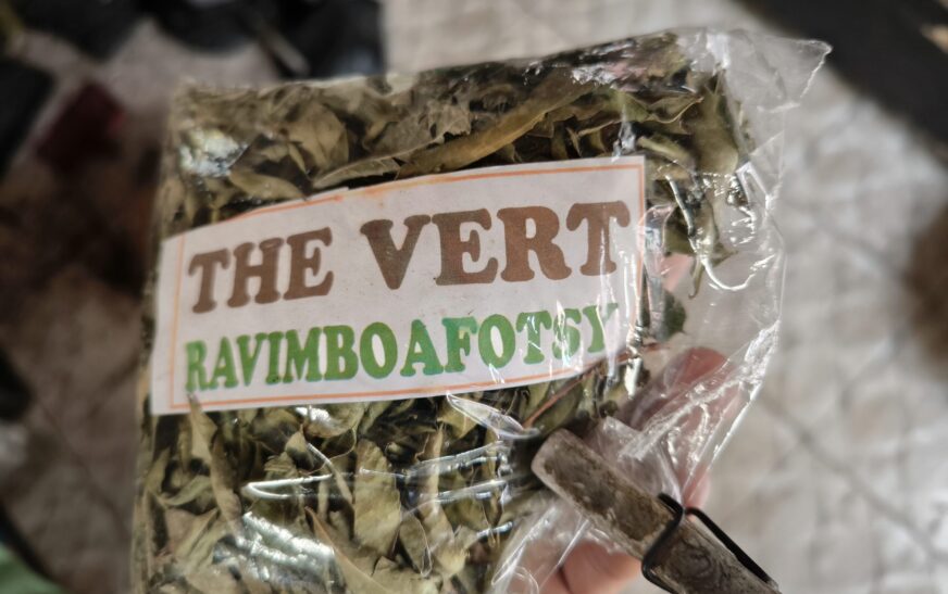 thé vert malgache ravimboafotsy