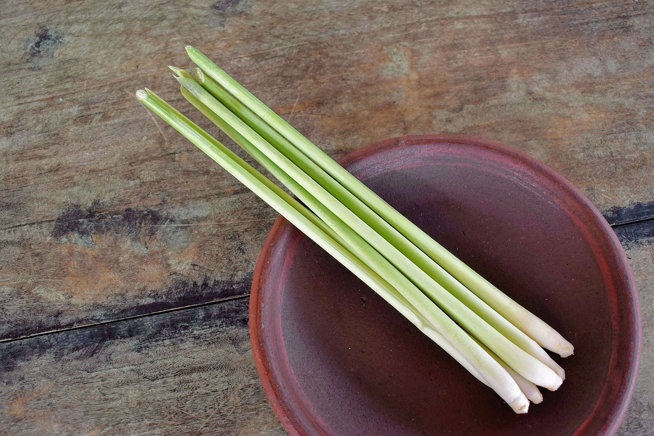 Les incroyables vertus de la citronnelle ou veromanitra